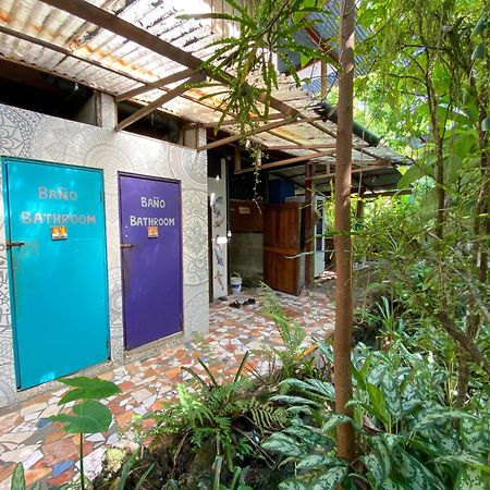 La Ruka Hostel Puerto Viejo de Talamanca Exteriör bild